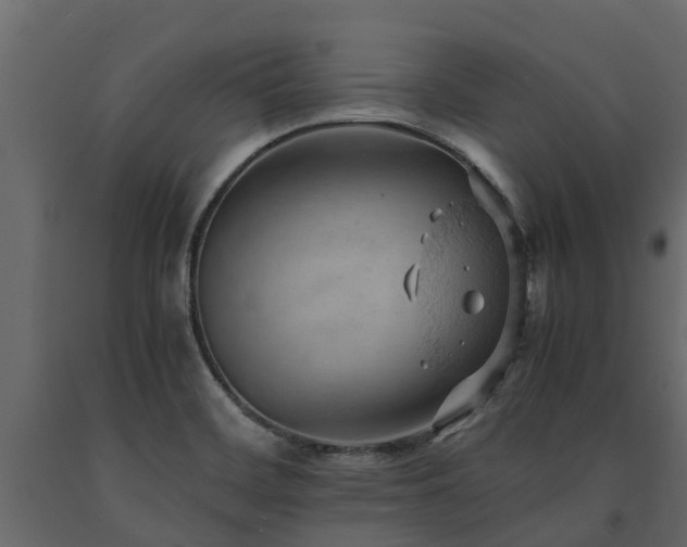 X0000091651468200708231210