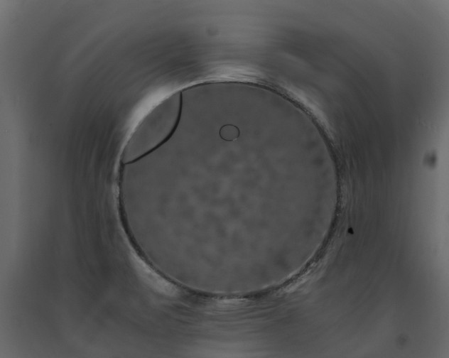 X0000091651471200708231210