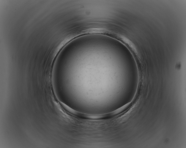 X0000091651473200708231210