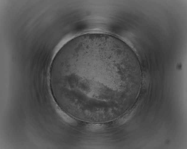 X0000091651474200708231210