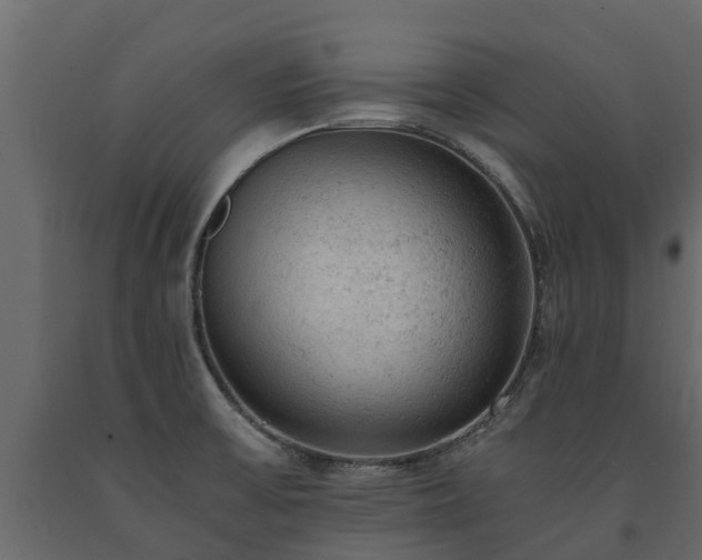 X0000091651475200708231210