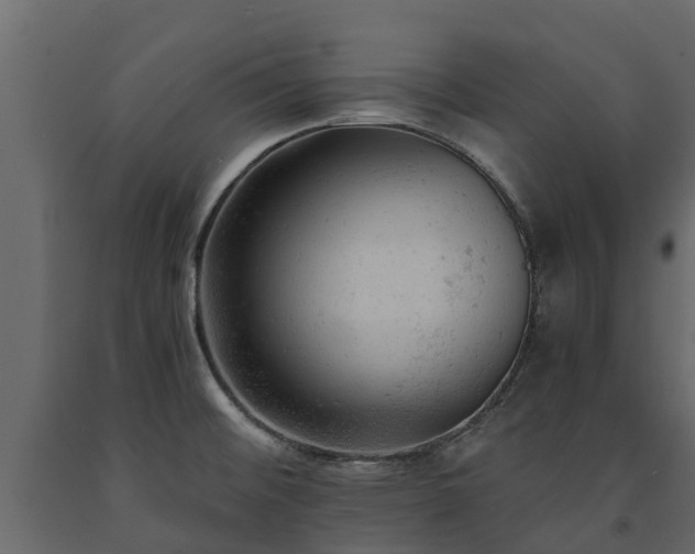 X0000091651476200708231210