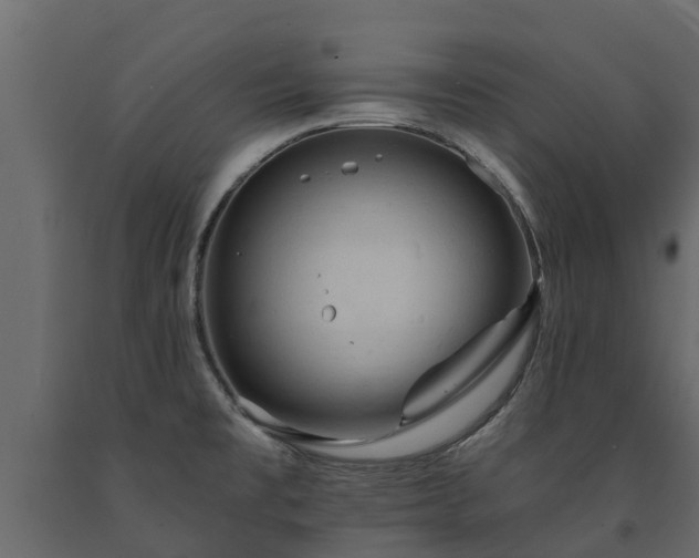 X0000091651477200708231210