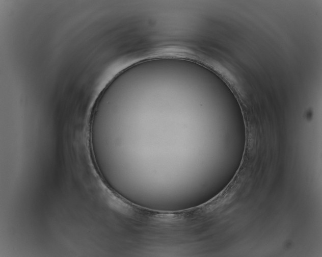 X0000091651478200708231210