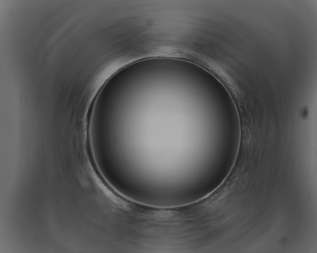 X0000091651479200708231210