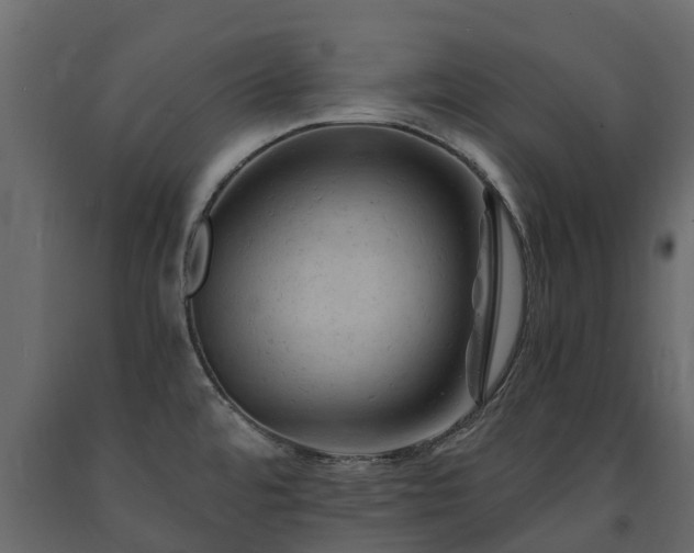 X0000091651480200708231210