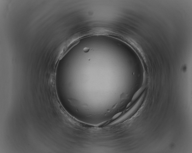 X0000091651481200708231210