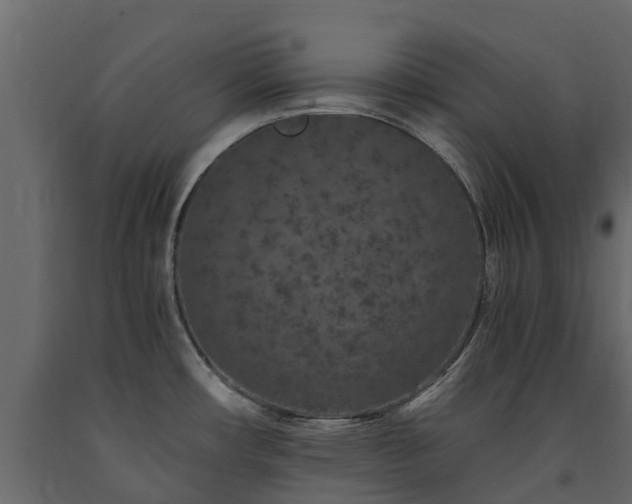 X0000091651482200708231210