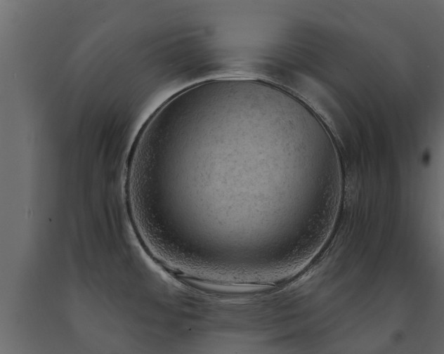 X0000091651484200708231210