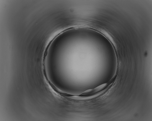 X0000091651485200708231210