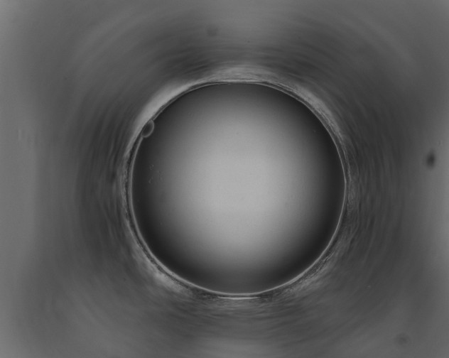 X0000091651486200708231210