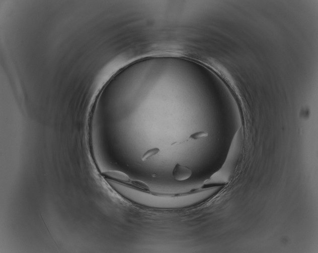 X0000091651488200708231210