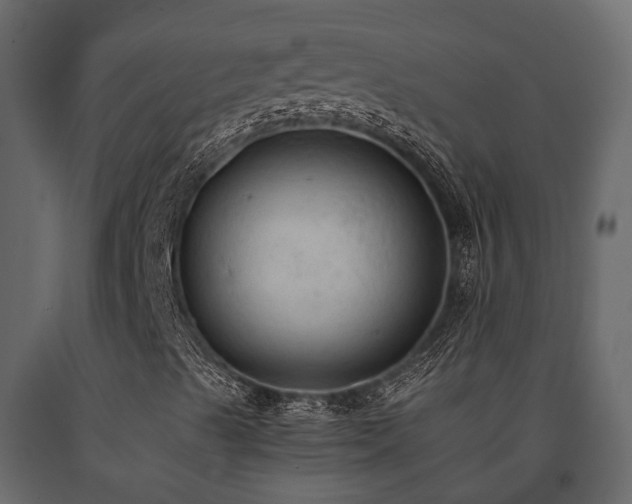 X0000091651489200708231209