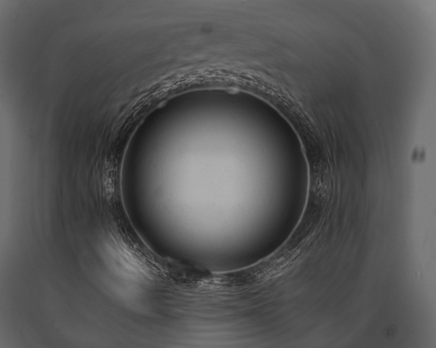 X0000091651490200708231209