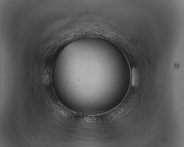 X0000091651491200708231209