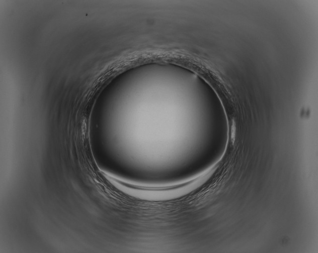 X0000091651492200708231209