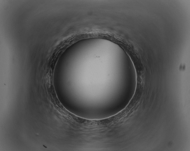 X0000091651493200708231209