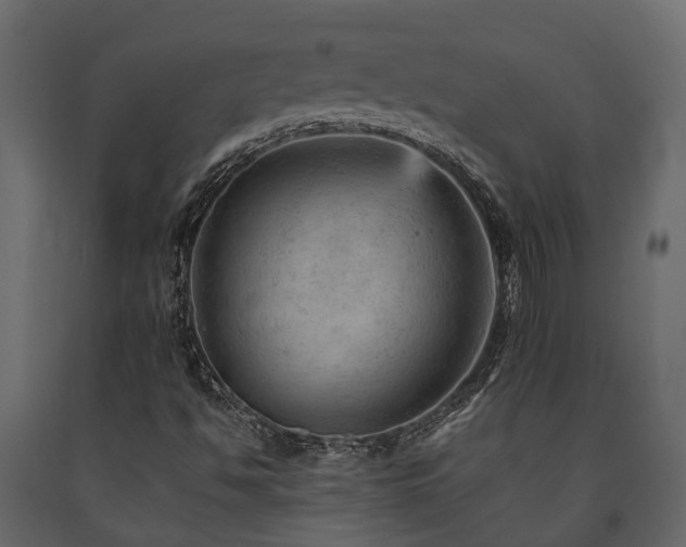 X0000091651494200708231209