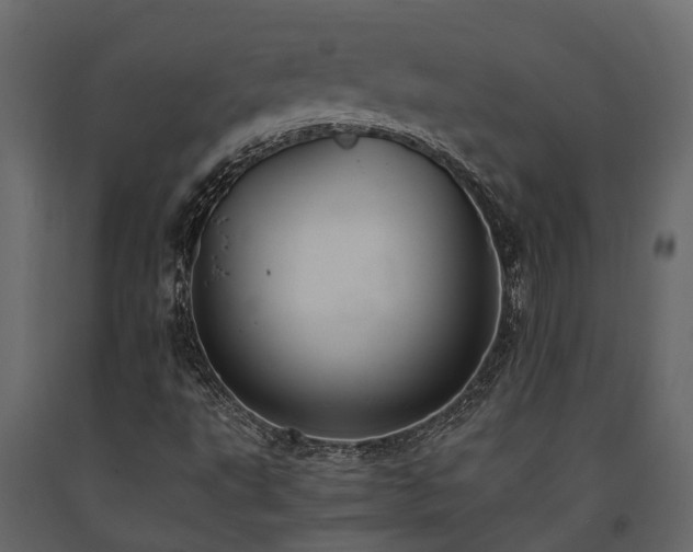 X0000091651495200708231209