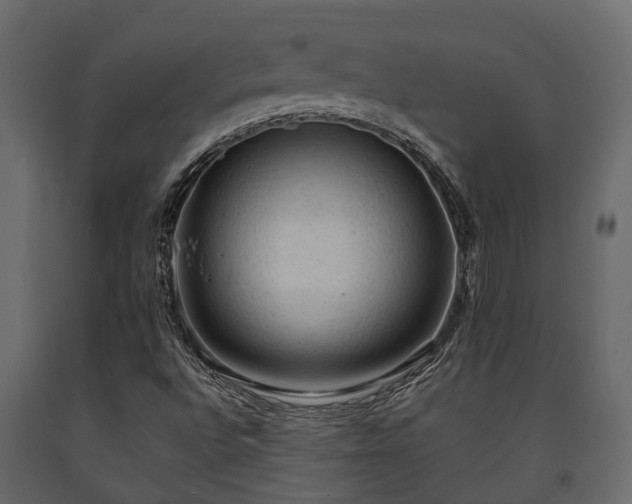 X0000091651496200708231209