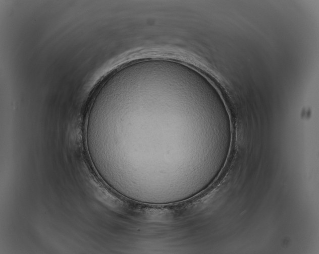 X0000091651498200708231209