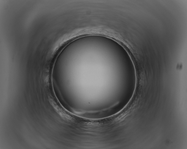 X0000091651499200708231210