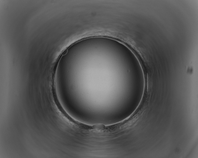 X0000091651500200708231210