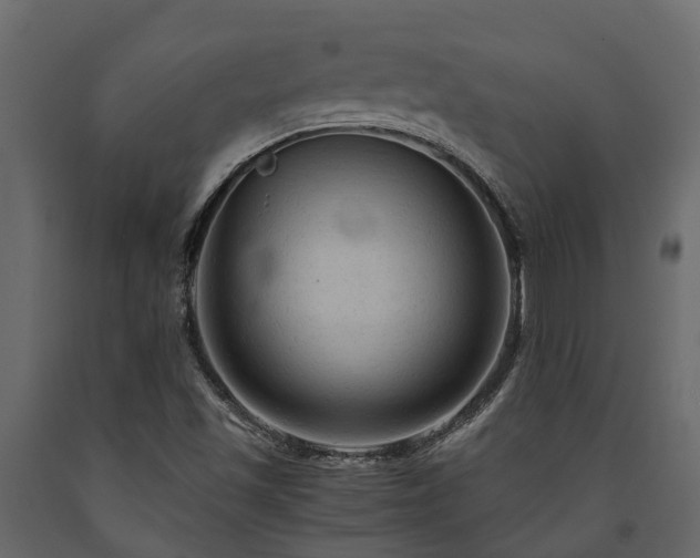 X0000091651501200708231210