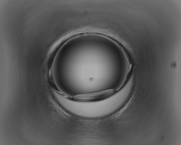 X0000091651502200708231210