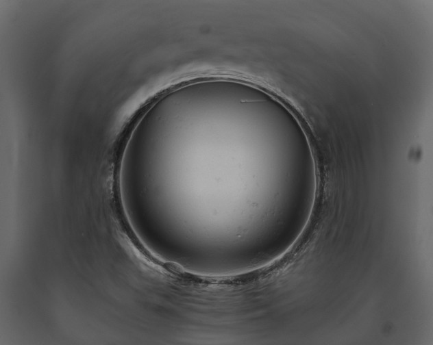 X0000091651503200708231210
