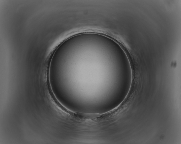 X0000091651504200708231210