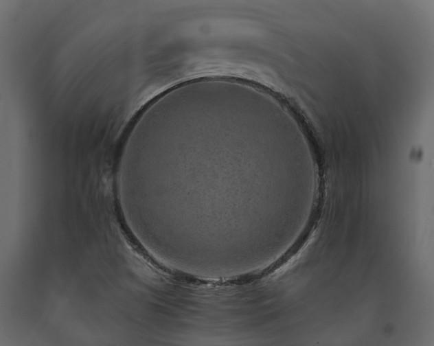 X0000091651505200708231210