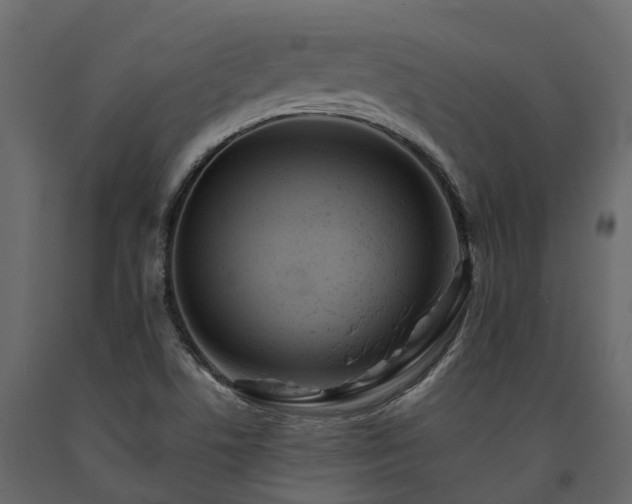 X0000091651506200708231210