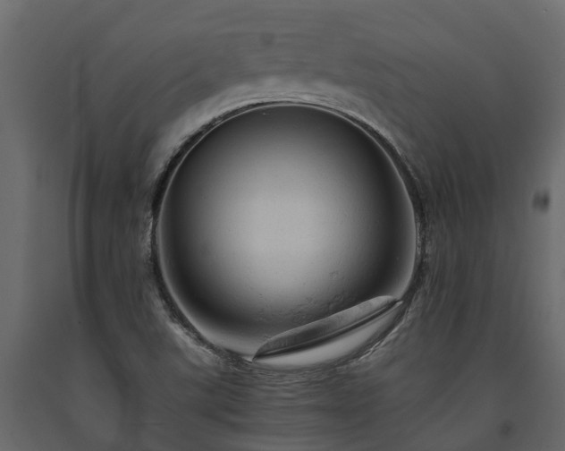 X0000091651507200708231210