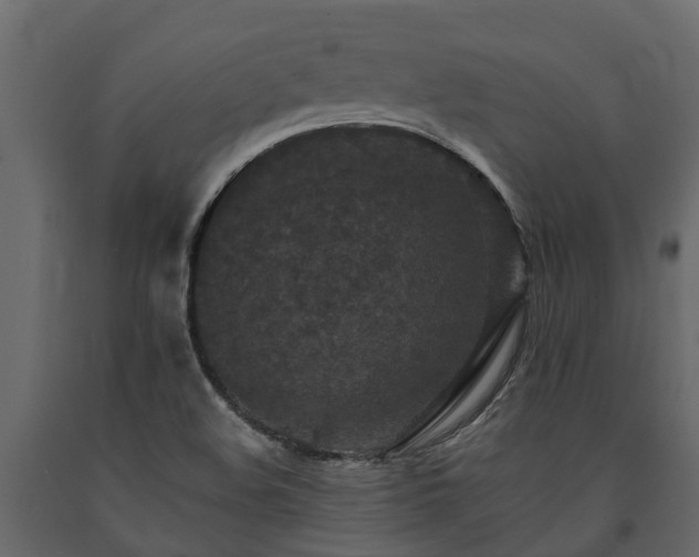 X0000091651508200708231210