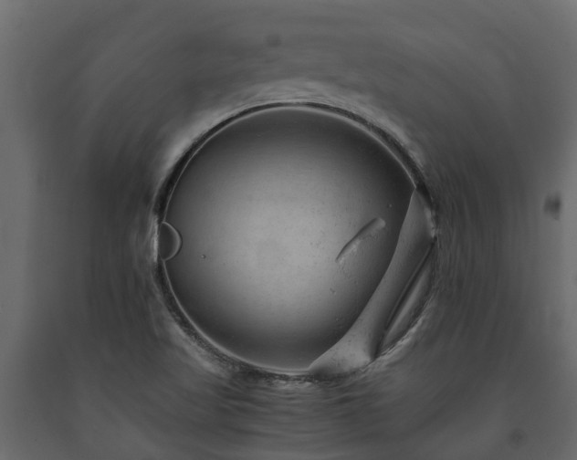 X0000091651509200708231210