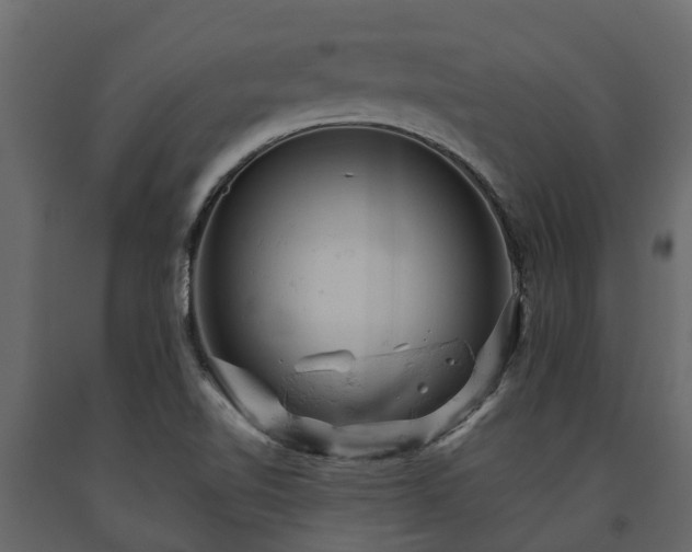 X0000091651510200708231210