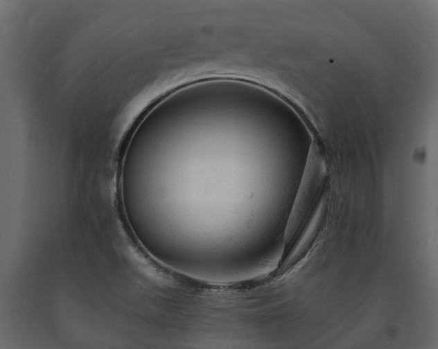 X0000091651511200708231210