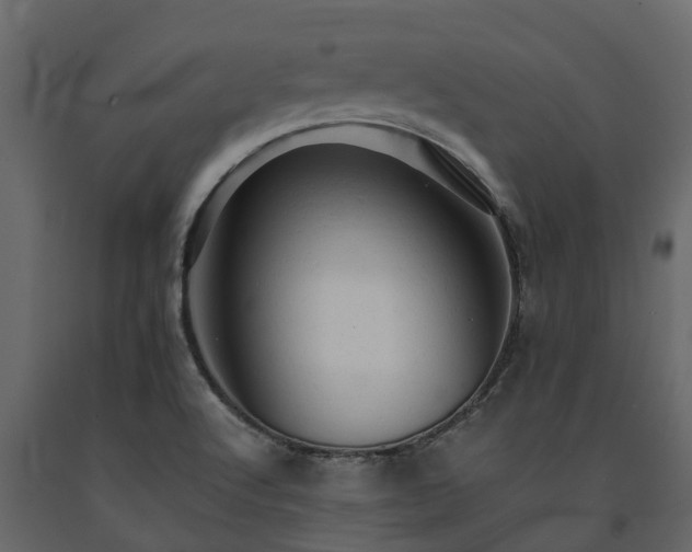 X0000091651512200708231210