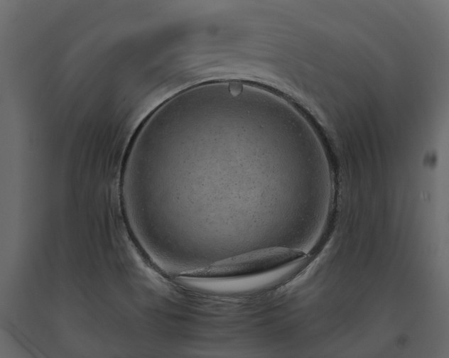 X0000091651513200708231210