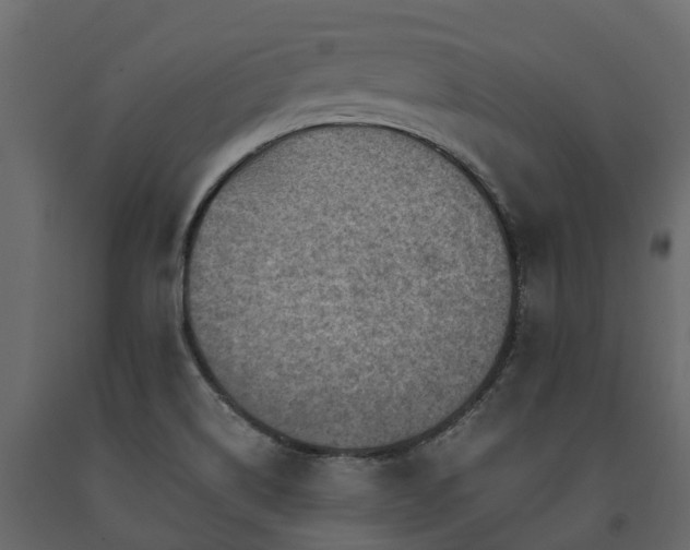 X0000091651514200708231210