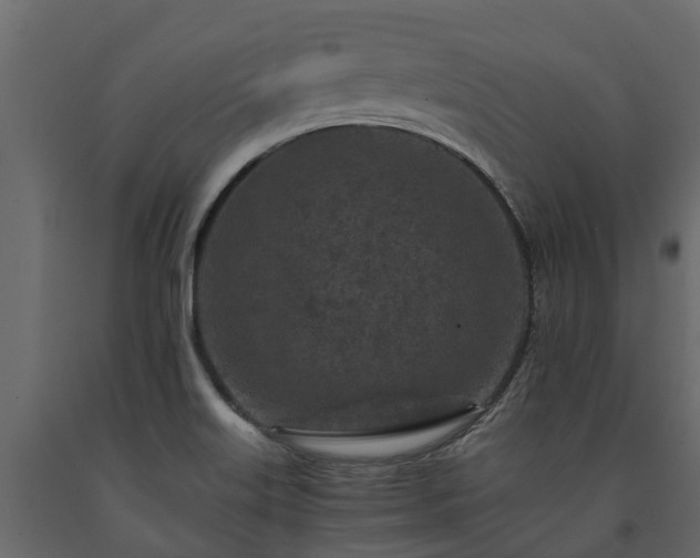 X0000091651515200708231210
