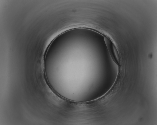 X0000091651516200708231210