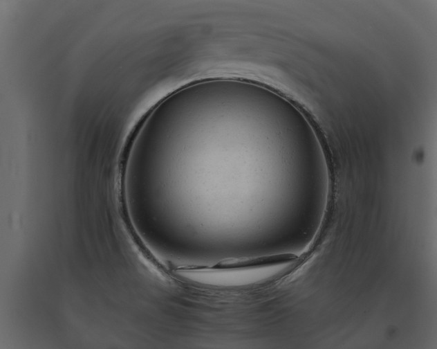 X0000091651517200708231210
