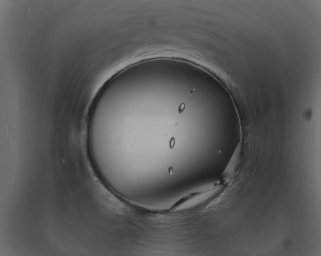 X0000091651518200708231210