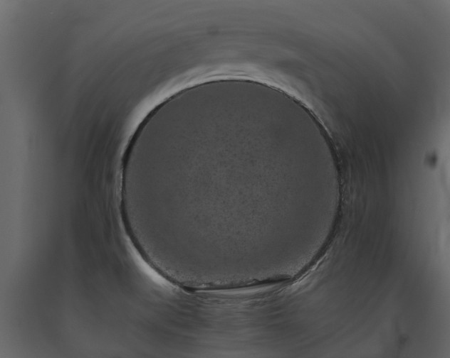 X0000091651519200708231210