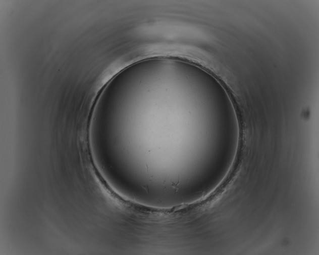 X0000091651521200708231210