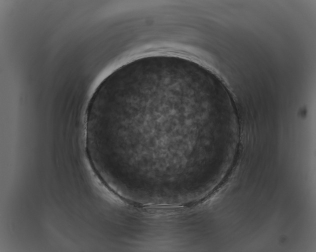 X0000091651522200708231210