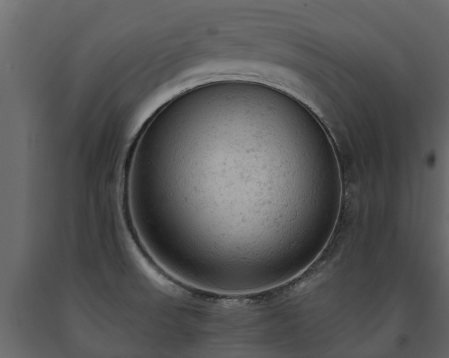 X0000091651523200708231210