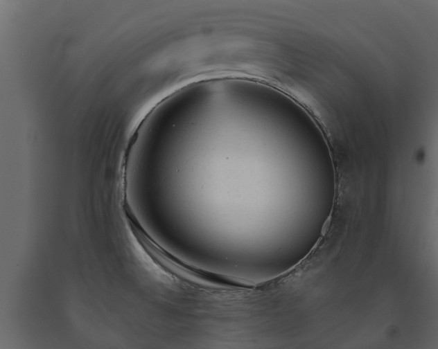 X0000091651524200708231210